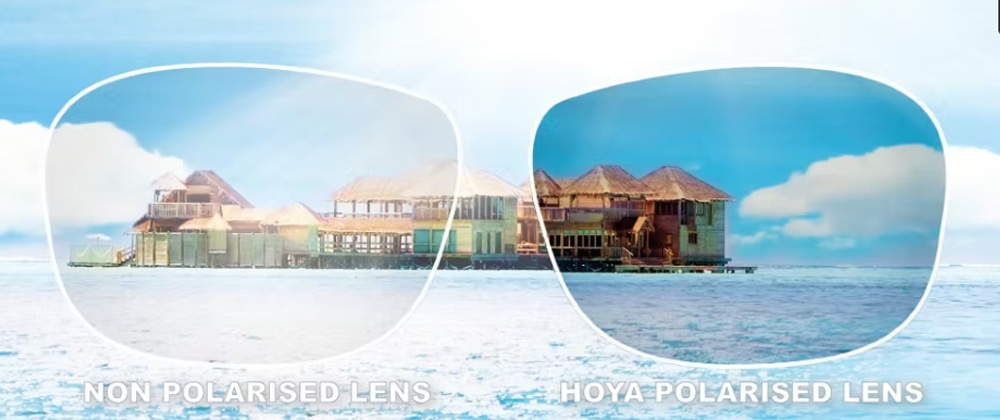 Polarised Lens Technology Visique Hutt Valley